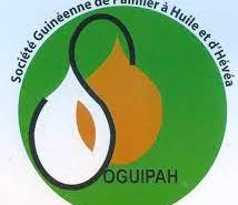 Soguipah: Michel Bémy branle dans le manche