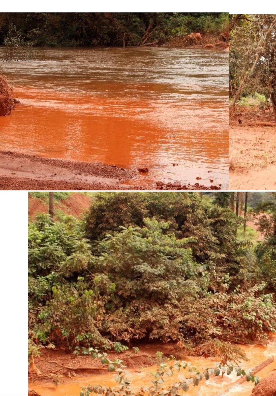 Pollution du fleuve Cogon : l’or rouge des mines menace l’eau d’un million de Guinéens