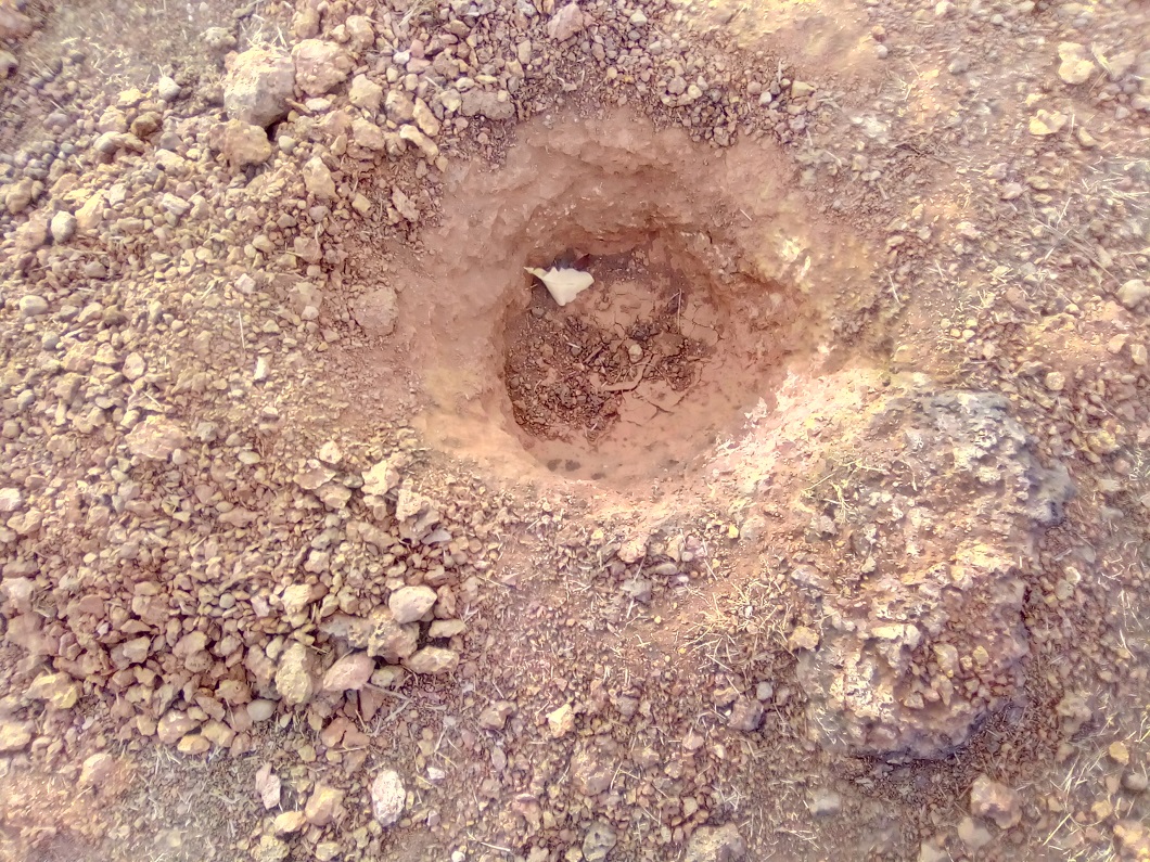 Exploitation anarchique d’or à Kounsitel : La junte décidée à stopper la razzia